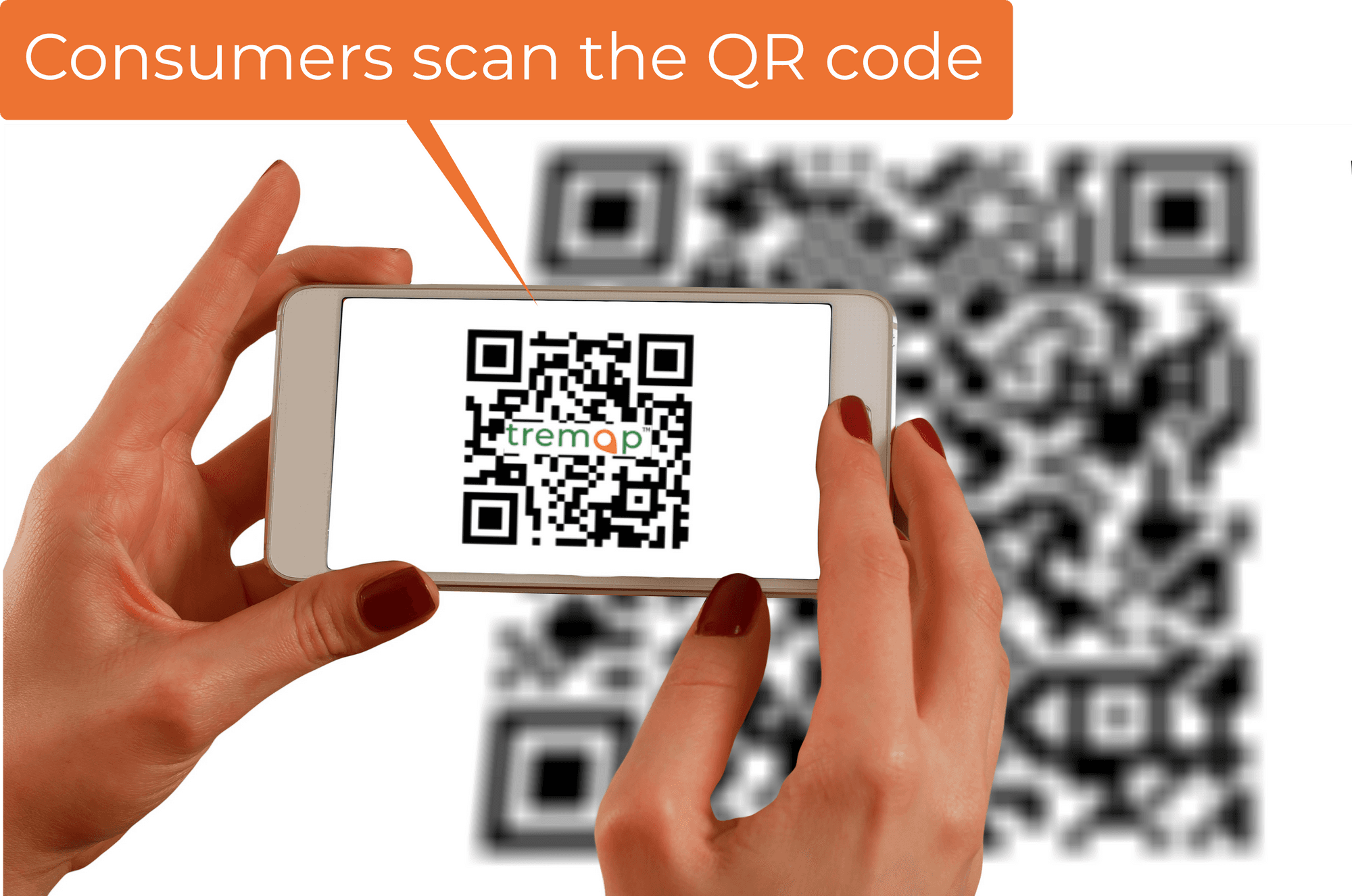 Scanning a Tremap QR code with a phone