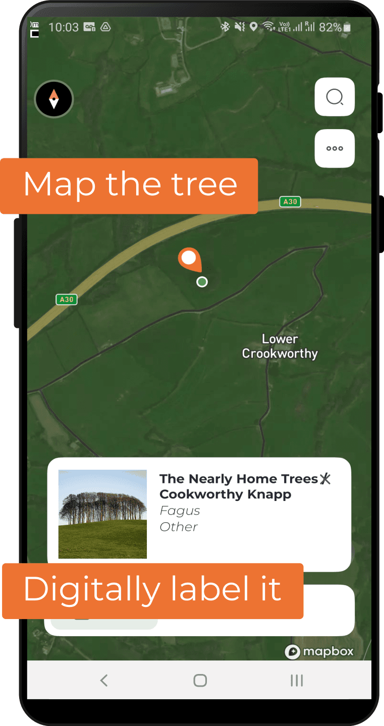 Mapping and labelling a tree in the Tremap app