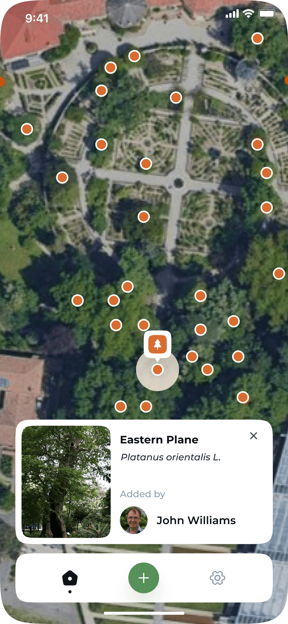 A labelled tree in the Tremap app
